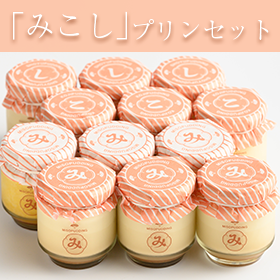 はじめてのお客様限定 お試しセット